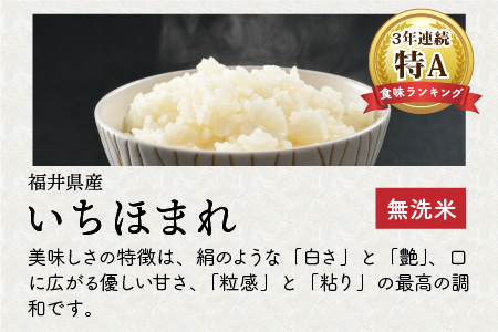 【令和5年産】定期便 ≪6ヶ月連続お届け≫ 福井県のブランド米 いちほまれ 無洗米 5kg × 6回 計30kg 【 無洗米 人気 品種 ブランド米 特A 】 [F-6165]