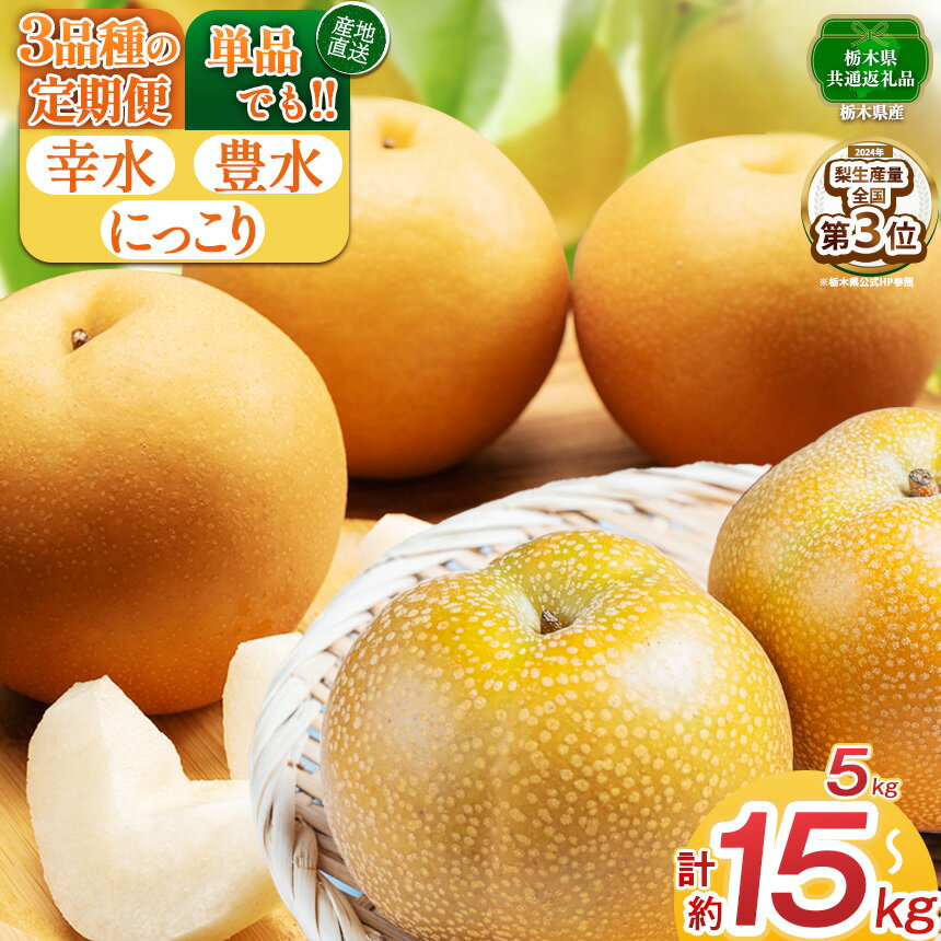 【ふるさと納税】【先行予約】選べる！梨 にっこり 幸水 豊水 5kg 単品 / 3回 定期便 | 【栃木県共通返礼品】 大 人気 レビュー リピート 果物 フルーツ たっぷり 果汁 果肉 ジューシー 甘い 高糖度 柔らかな シャキシャキ 旬 品種 くだもの 送料無料 栃木県 下野市