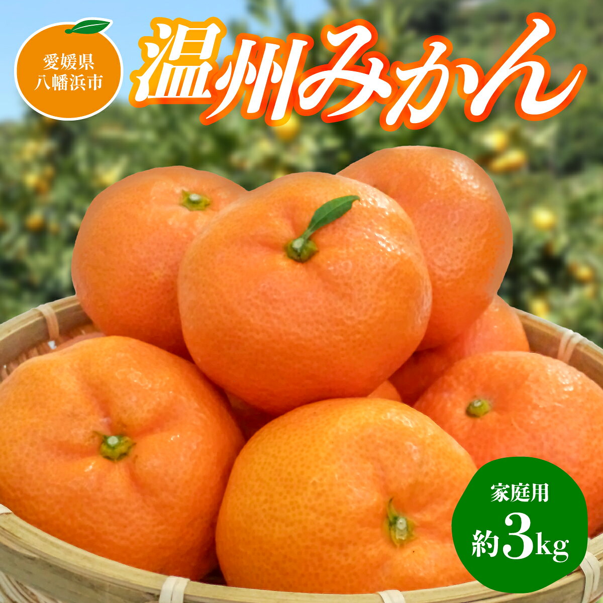 【ふるさと納税】【先行受付】温州みかん【家庭用】約3kg【C76-15】_【1539504】 YWTAB010
