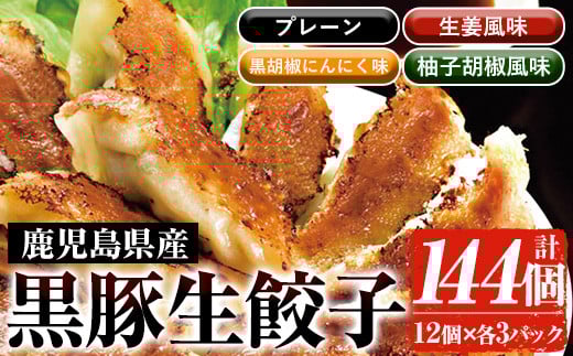鹿児島黒豚生餃子4種詰合せセット 合計144個！（4種×12個×3P）プレーン 生姜風味 黒胡椒にんにく 柚子胡椒 4種の黒豚生餃子を食べ比べ♪ 国産 鹿児島県産 黒豚 餃子 ぎょうざ ギョーザ ギョウザ 冷凍餃子 冷凍 冷凍食品 惣菜 弁当 おかず 小分け 詰め合わせ 【A-1872H】