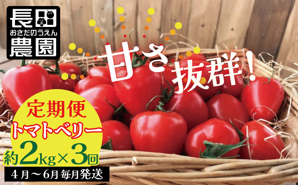 
                  【4月～6月の定期便】たっぷり約2㎏×3回！ 人気No.1トマトベリーの定期便 野菜ソムリエサミット 金賞 受賞 長田農園  産地直送 トマト とまと 野菜 やさい フルーツ サラダ 濃厚 甘い ご褒美 プレゼント 美容 健康 リピート多数 人気 高評価 数量限定 碧南市 H004-186
                