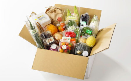 【全3回】【2ヶ月に1回】野菜 定期便（野菜・果物・お米・卵）[AGBX039]果物定期便果物定期便果物定期便果物定期便