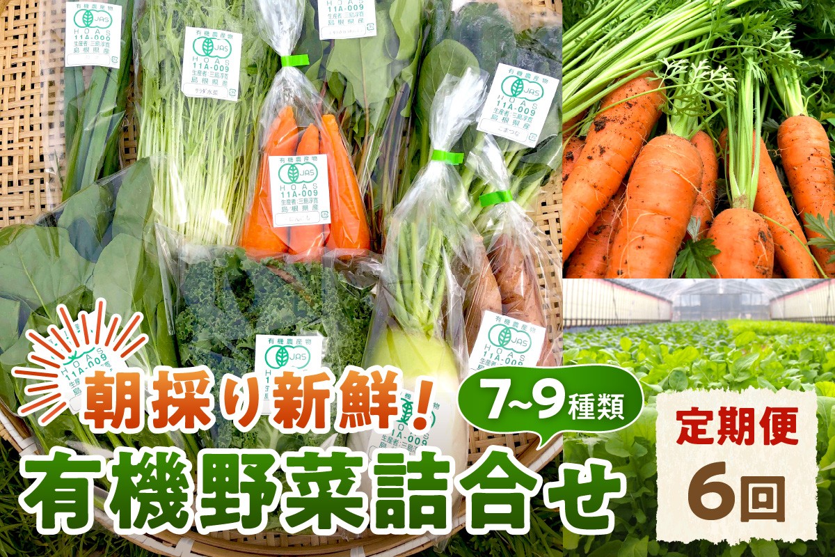 
            朝採り新鮮！有機野菜セット詰合せ（7～9種類）6回コース【定期便】 定期便 採れたて 産地直送 葉物 有機JAS認証 野菜セット 旬の野菜 野菜【139_1909】
          