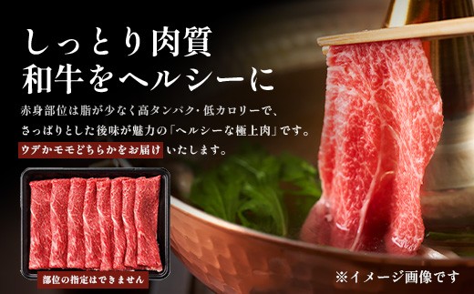 宮崎牛 赤身 スライス 約500g×1P［ウデまたはモモをお届け］すき焼き しゃぶしゃぶ 冷凍｜国産 牛肉 4等級以上 黒毛和牛 肉 お肉 ブランド牛 高級 株式会社ミヤチク 宮崎県 諸塚村 MY-0