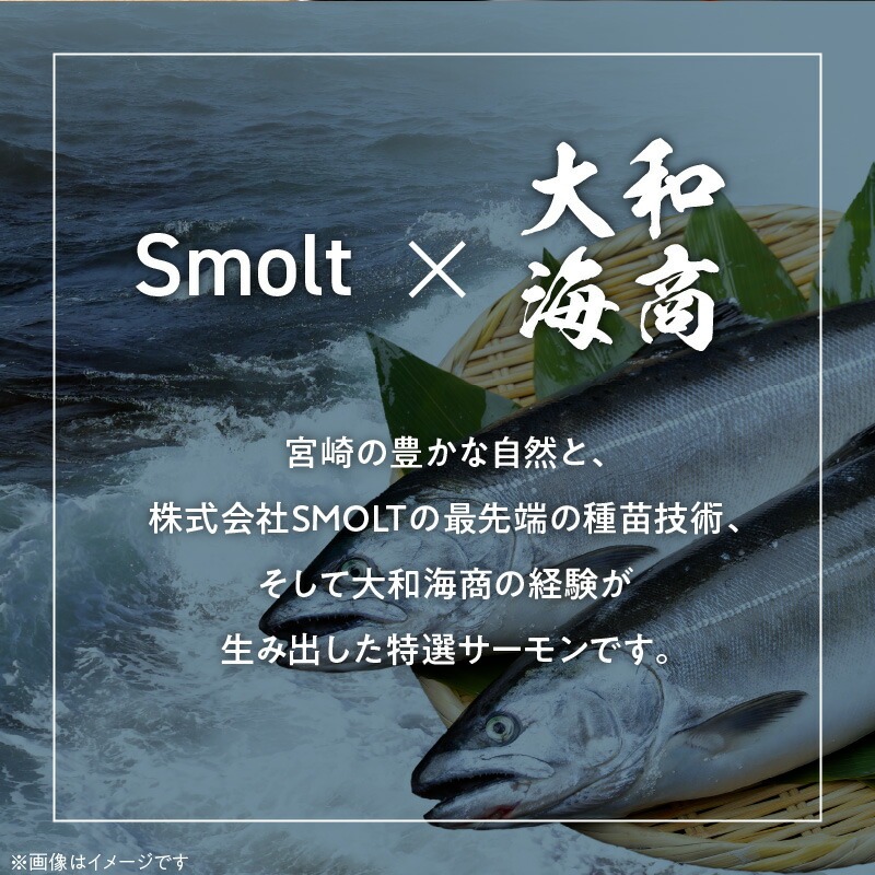 【6ヶ月定期便】頑張る自分へのご褒美セット N072-YG0231