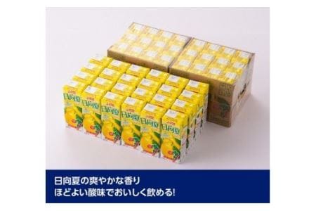 サンA日向夏ドリンク200ml×48本セット 【 飲料類 ソフトドリンク 果汁飲料 】 