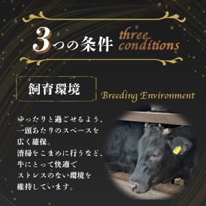 ＜亀岡牛専門店（有）木曽精肉店＞亀岡牛ロースステーキ 500g☆祝！亀岡牛 2023年最優秀賞（農林水産大臣賞）受賞 ※冷凍（冷蔵も指定可） 