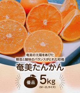 【 2025年 先行予約 】奄美タンカン 優品 5kg（ 2L ～ Mサイズ ）　A074-002 たんかん 果物 フルーツ 果実 甘い 濃厚 産地直送 先行受付 予約 受付 特産品 奄美大島産 期間