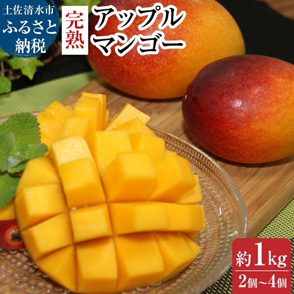 【ふるさと納税】 完熟アップルマンゴー1kg（2個～4個入り）マンゴー アーウィン種 南国フルーツ 果物 くだもの フルーツ 果汁 濃厚 ジューシー デザート 樹上完熟マンゴー ギフト プレゼント 贈答 送料無料 常温 配送 故郷納税 高知県 土佐清水市 高知【R00520】