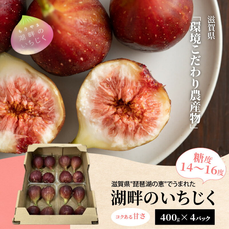 【ふるさと納税】いちじく 400g × 4パック 計 1.6kg 湖畔のいちじく 糖度14度〜糖度16度 美活 果物 フルーツ 旬のフルーツ 季節の果物 デザート お土産 冷蔵 お取り寄せ お取り寄せグルメ 送料無料