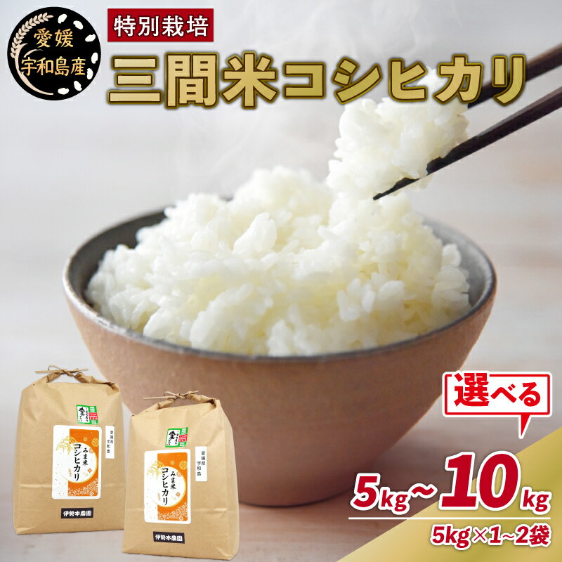 【ふるさと納税】 特別栽培 おこめ 新米 特別栽培米 三間米 コシヒカリ 選べる 計 5kg ~ 10kg (5kg×1~2袋) 伊勢本農園 えらべる 米 お米 ごはん こめ コメ ※ kome 白米 精米 お弁当 ブランド米 ふっくら ツヤツヤ ライス 農家直送 産地直送 数量限定 国産 愛媛 宇和島