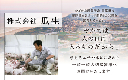 訳あり 国産 豚肉 食べ比べ 2本 ヒレ ブロック 冷凍 瓜生豚 小分け 簡易包装 訳あり ぶた 贈り物 ギフト お取り寄せ お取り寄せグルメ 食品 送料無料 産地直送 冷凍 瓜生 17000円