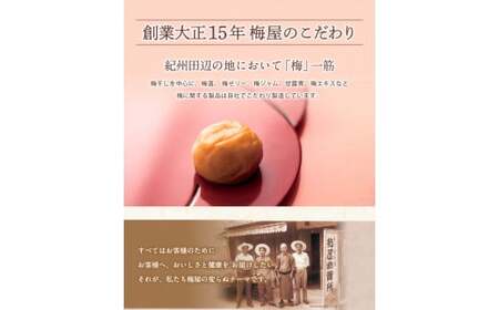 紀州梅酒　720ｍl×4本入（化粧箱なし） / 田辺市 紀州南高梅 南高梅 梅酒 梅 ロック 水割り 宅飲み 家飲み 家庭用 化粧箱なし【umy001】