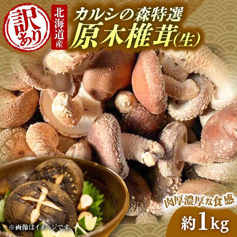 【訳あり】原木 生しいたけ 約1kg しいたけ [BNAU005]