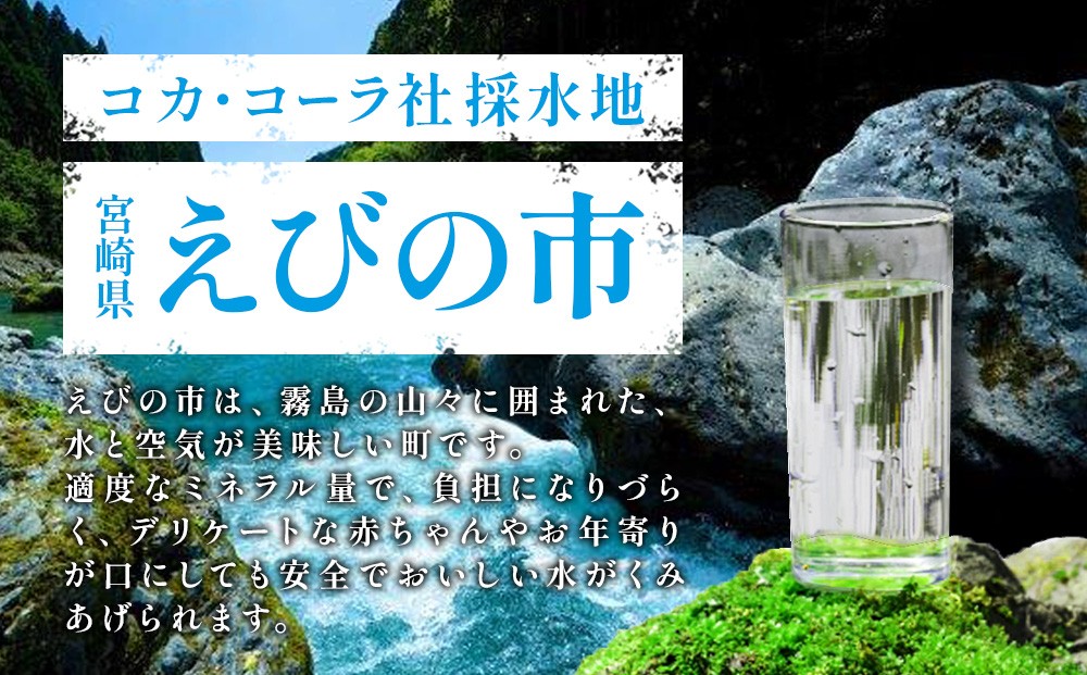 【内容量/発送回数 選べる】やかんの麦茶 from 爽健美茶 650ml PET【コカ・コーラ】ペットボトル