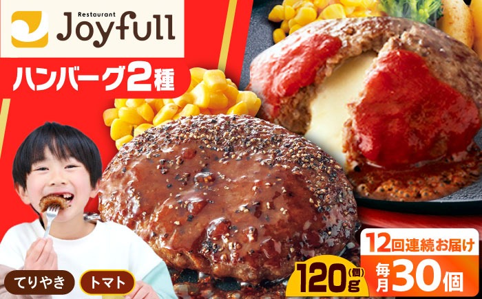 【全12回定期便】ジョイフル ハンバーグ スペシャル 詰め合わせ 2種 30個 セット《築上町》【株式会社　ジョイフル】[ABAA080]
