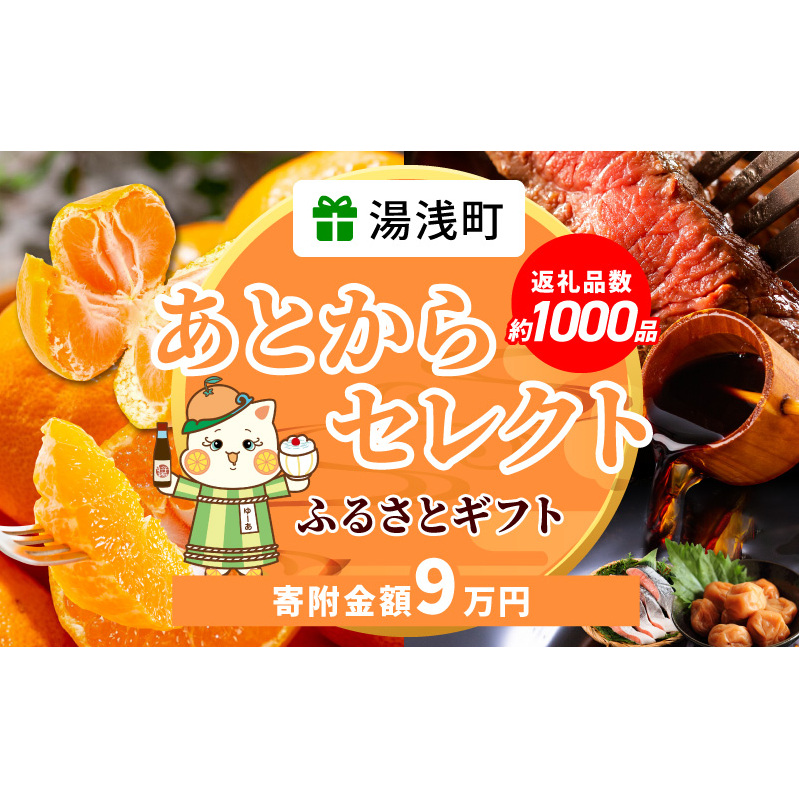 あとからセレクト【ふるさとギフト】9万円_ZZ1013
