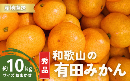 【1月発送】秀品 有田みかん 和歌山県産  S～Lサイズ 大きさお任せ 10kg / みかん フルーツ 果物 くだもの 有田みかん 蜜柑 柑橘【ktn003A-1】