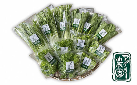 野菜セット 小松菜 水菜 レタス 水耕栽培 野菜セット