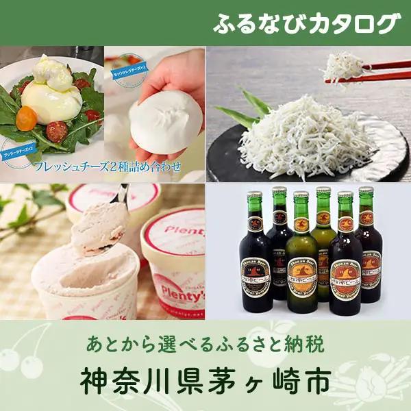 【有効期限なし！後からゆっくり特産品を選べる】神奈川県茅ヶ崎市カタログポイント