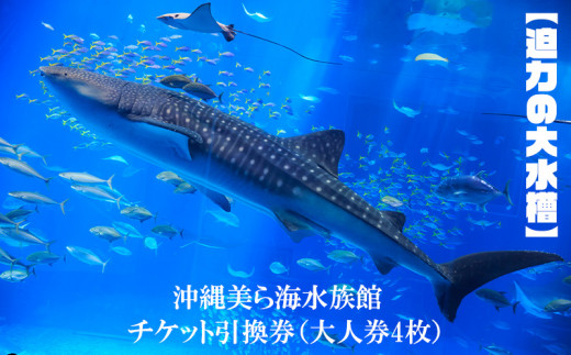 
【迫力の大水槽】沖縄美ら海水族館　チケット引換券＜大人券4枚＞
