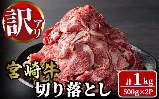 ＜訳あり＞宮崎牛 切り落とし(計1kg・500g×2P) 牛肉 肉 ブランド牛  冷凍 国産 精肉 お取り寄せ 黒毛和牛 宮崎県 【LJ005】【ローカルブランディング株式会社】