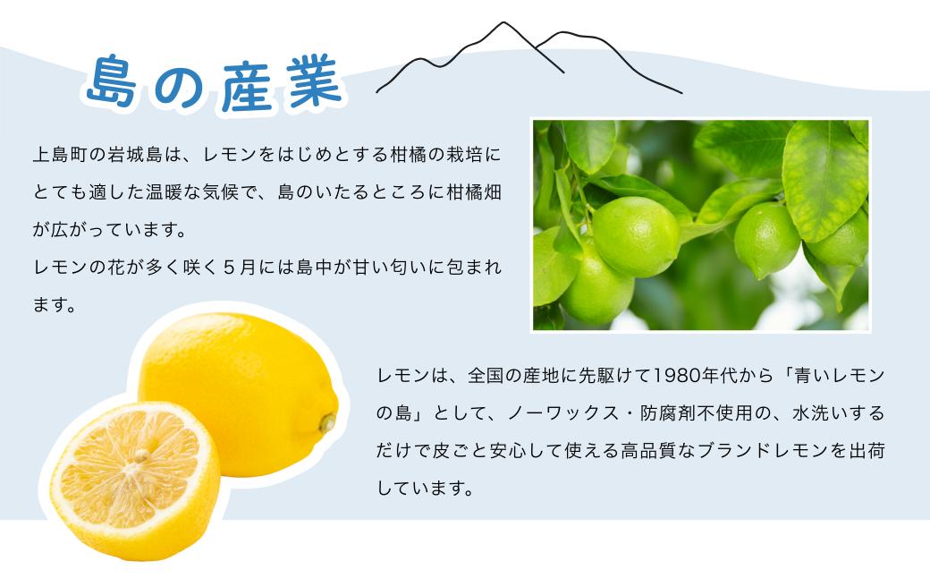 【先行予約】瀬戸内の温州みかん4kg　秀L～S | みかん ミカン 温州ミカン 温州みかん 甘いみかん 愛媛みかん 果物 フルーツ 国産 柑橘 限定JA選果品
