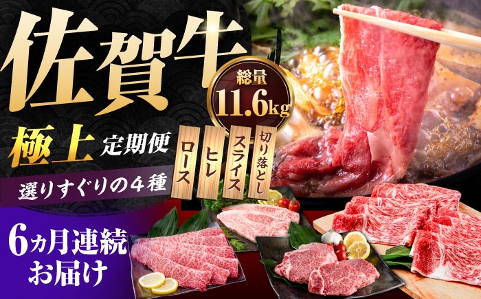 
            【肉のプロが厳選！】【6回定期便】佐賀牛 極上 定期便【いろは精肉店】佐賀県産 牛肉 国産 肉 和牛 セット 冷凍 九州 人気 高評価 九州 佐賀県 白石町 [IAG078]
          