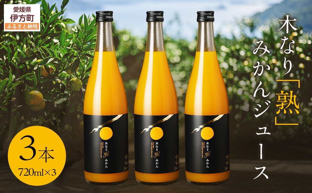 
                  木なり「熟」みかんジュース（720ml×3本） 【 ふるさと納税 人気 おすすめ ランキング ジュース みかんジュース 温州みかん みかん 糖度12度 甘い フルーティ 健康 みかんジュースコンクール 愛媛県 伊方町 送料無料 】IKTE011
                