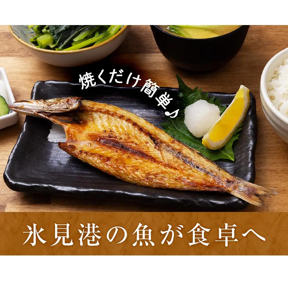 きときと特選一夜干し4種詰合せ《かます・あじ・いわし・するめいか》