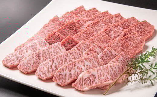 国産黒毛和牛 希少部位を含む特選焼肉セット 500g 部位おまかせ＜1.6-35＞牛肉 肉 黒毛和牛 ビーフ 西都市 決済完了後30日以内の発送