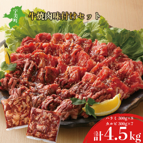 味付け牛焼肉セット 合計約4.5kg　EZ011