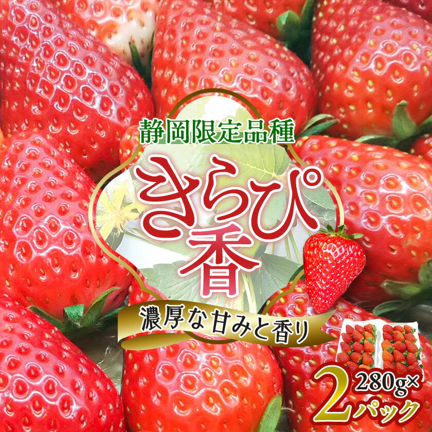 【ふるさと納税】【抜群の美味しさの静岡限定品種:きらぴ香 いちご 280g×2パック】_ いちご イチゴ 苺 きらぴ香 ストロベリー 静岡 果物 くだもの フルーツ デザート 産直 産地直送 送料無料 【配送不可地域：離島・北海道・沖縄県・東北・中国・四国・九州】【1451174】