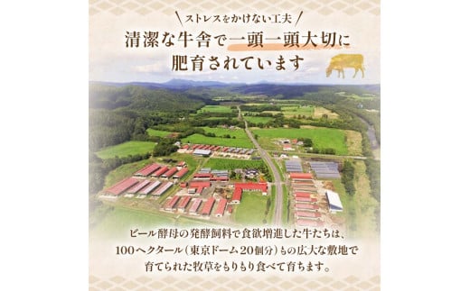 阿寒モルト牛ステーキ食べ比べセットＡ 牛 ステーキ サーロイン 釧路 肉 F4F-4176