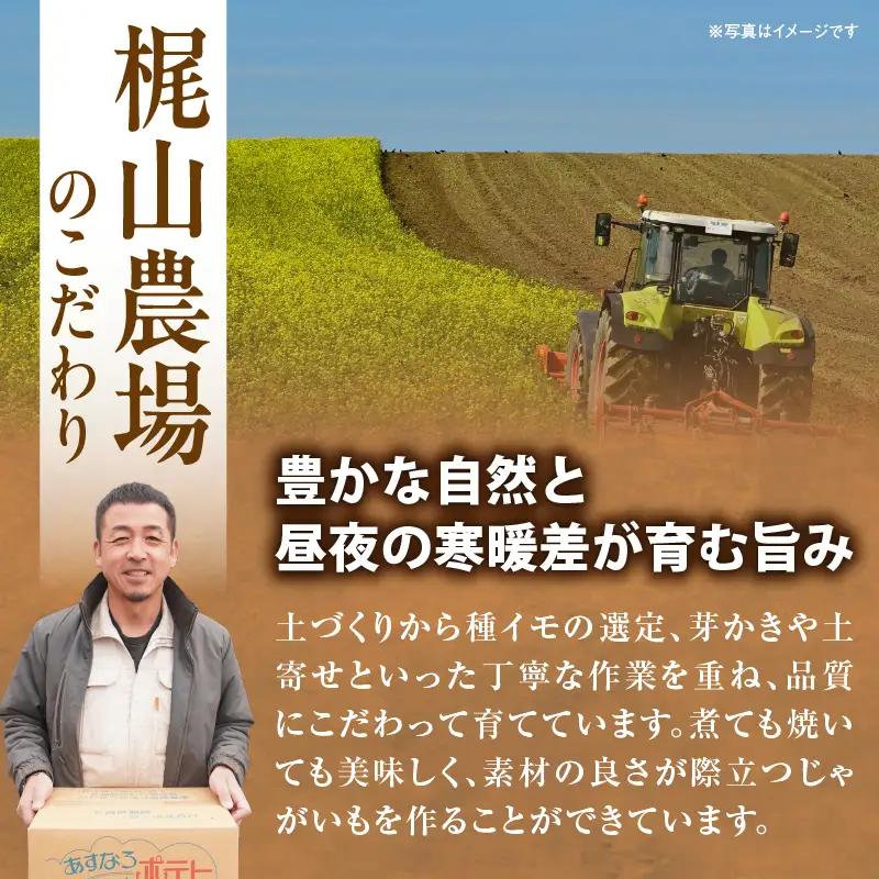 じゃがいも キタアカリ 10kg ジャガイモ_S041-0008-2026