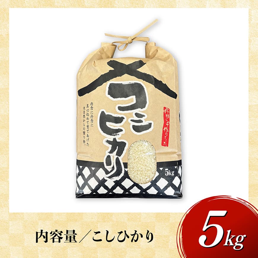 【令和8年産】村井農園産こしひかり（精米）5kg 【 米 お米 白米 精米 こしひかり 国産 宮崎県産 おにぎり 】[B10004]