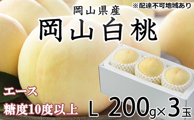 桃 2025年 先行予約 岡山 白桃 エース 3玉×約200g（Lサイズ） JAおかやまのもも（早生種・中生種） もも モモ 岡山県産 国産 フルーツ 果物 ギフト