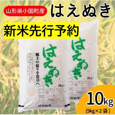 ふるさと納税 小国町 【令和8年産米先行予約】山形県小国町産　はえぬき10kg(5kg×2袋)　小国米穀商業協同組合