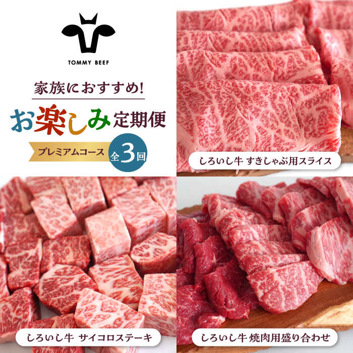 【ふるさと納税】【牧場直送】【3回定期便】しろいし牛 家族向け お楽しみ 定期便（プレミアムコース）【佐賀セントラル牧場】和牛 ランキング 人気 おすすめ 食べ比べ BBQ バーベキュー お肉 牛肉 焼き肉 冷凍 佐賀県 白石町 [IAH212]