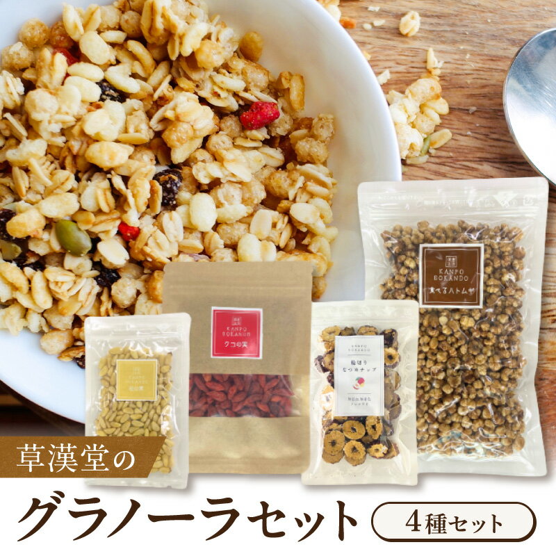 【ふるさと納税】草漢堂 グラノーラ グラノラ シリアル ハトムギ クコの実 松の実 なつめチップ 4点 セット チャック袋 保存に便利 朝食 軽食 食品 健康食品 加工食品 グッズ ヘルスケア 健康 美容 お取り寄せ 愛知県 小牧市 送料無料