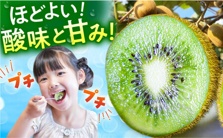 【先行予約】佐賀県産 キウイフルーツ（ヘイワード）3.6kg【JAさが】[HBZ001] キウイ 果物 くだもの