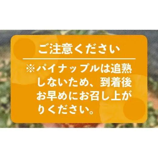 [先行予約] 最高糖度20度！？ 完熟の極 石垣島産幻のパイナップル ホワイトココ2個セット