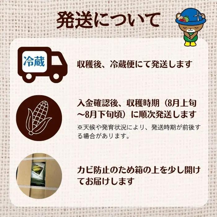 【2026年8月上旬から発送】北海道とままえ産 スイートコーン 2Lサイズ 7本 とうもろこし 北海道産 先行 予約 受付 甘い 旬 産地直送 野菜 冷蔵 北海道 苫前町 とままえ rum10