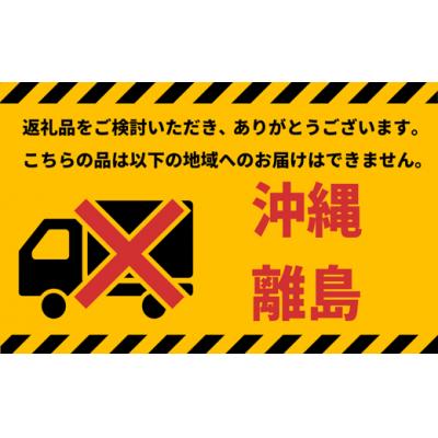 ふるさと納税 境町 〈マットブラック〉 20インチ自転車【WONKAミニ】完全組立 ウォンカ |  | 03
