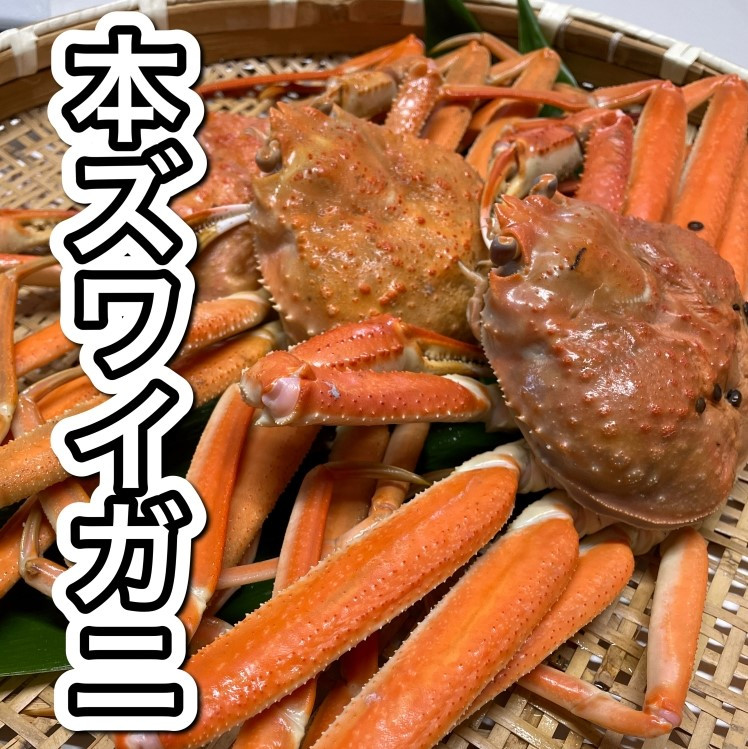 
                  【訳あり】浜茹で 本ズワイガニ 足欠「雄ガニ 3杯（約900g）」1043007 蟹 かに ずわい蟹 ズワイガニ
                