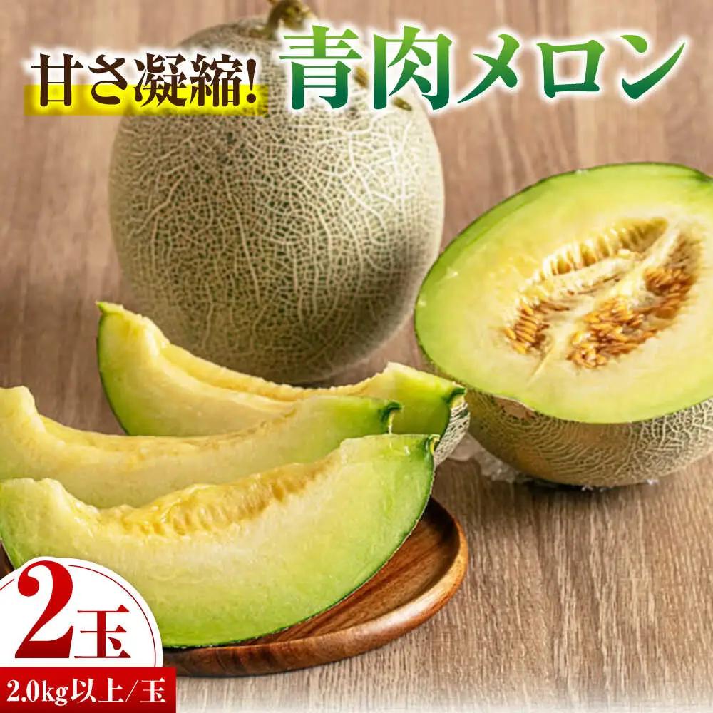 【先行予約】青肉メロン 大玉2玉 [AJAH030] メロン