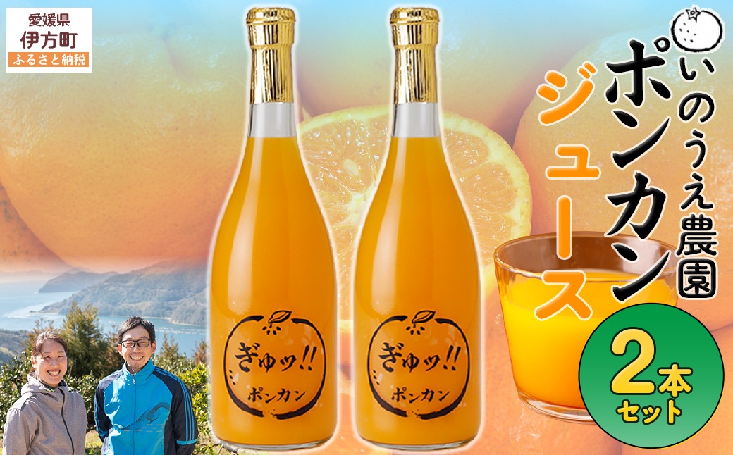 いのうえ農園 ポンカンジュース2本セット ※離島への配送不可 IKTAI013