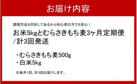 2103R_食物繊維を定期的に！お米5kgとむらさきもち麦3ヶ月定期便/計3回発送