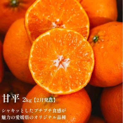 ふるさと納税 八幡浜市 【発送月固定定期便】愛媛の人気高級フルーツ まどんな・甘平・せとか【H70-42】全3回 |  | 02