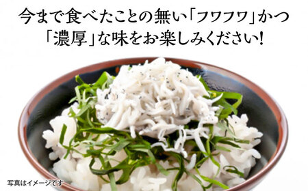 釜揚げちりめん（しらす）約500ｇ鮮度日本一を目指します！浜で瞬時に釜揚げ